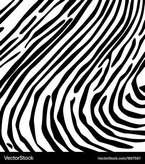 Zebra pattern background Royalty Free Vector Image