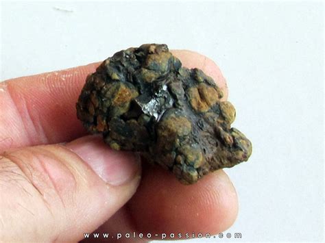 METEORITE pallasite SERICHO (13)