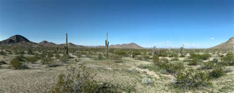 Sonoran Desert National Monument – Tales of a vanlife couple