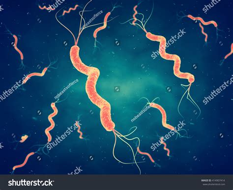 347 나선균 이미지, 스톡 사진 및 벡터 | Shutterstock