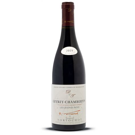 Gevrey Chambertin 2019 - Sale great red Burgundy wine online