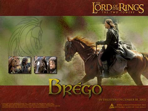 Brego - Lord of the Rings Wallpaper (492183) - Fanpop