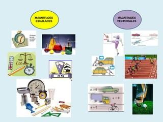 Magnitudes escalares-y-vectoriales | PPT