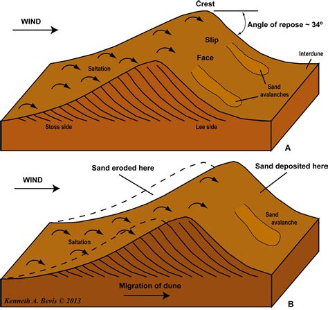 Formation and propagation of a sand dune. An Introduction to Physical ...