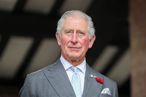 Charles Is King Now That Queen Elizabeth II Has Died: What We Know