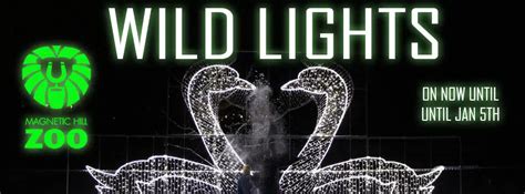 Wild Lights at Magnetic Hill Zoo | New Country 96.9 - Greater Moncton