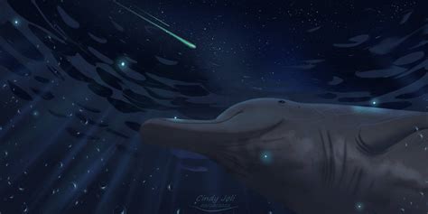 Baird's Beaked Whale by JoliAquaIslander on DeviantArt