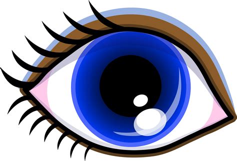 Eyebrow clipart women's eye, Picture #1035622 eyebrow clipart women's eye