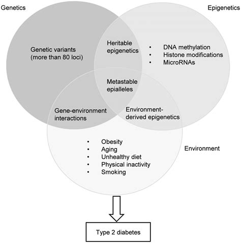 Diabetes in China: Epidemiology and Genetic Risk Factors and Their Clinical Utility in ...