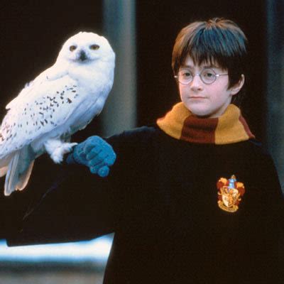 harry and hedwig - Harry Potter Photo (18741302) - Fanpop