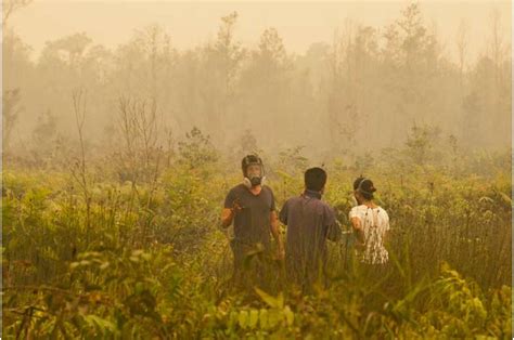 Satellites reveal peatland fire susceptibility