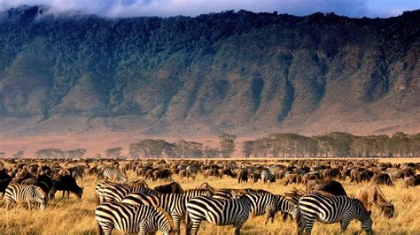 Ngorongoro Crater: Arusha’s 8th wonder of the world - FurtherAfrica