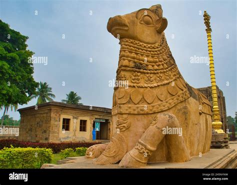 Monolithic Bull Nandhi statue at Brihadeeswarar temple. Adi Kumbeswarar ...