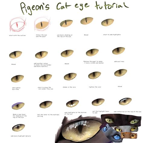 Cats eye tutorial | Warriors Amino