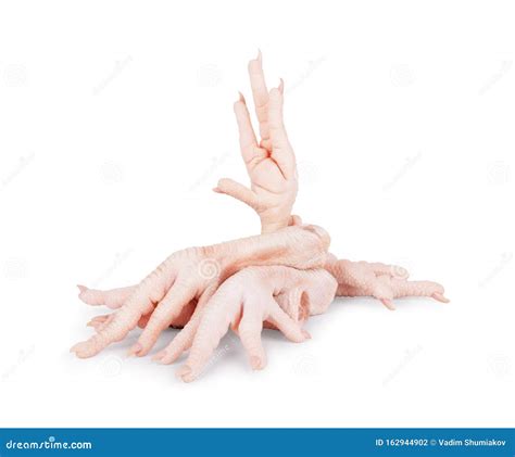 Raw Chicken Paws on White Background Stock Photo - Image of portion, fried: 162944902