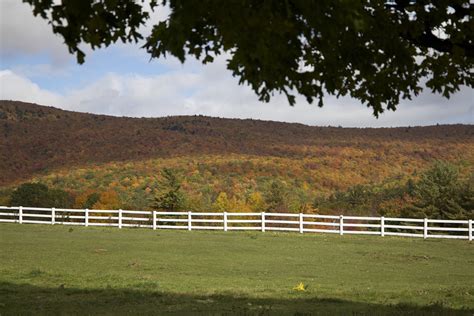 White Wooden Outdoor Safety Fence With Brown and Green Grass Field · Free Stock Photo