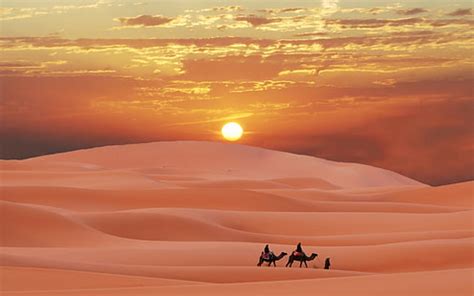 Online crop | HD wallpaper: desert, erg, sand, landscape, sahara, camel, sky, sunset, dune ...