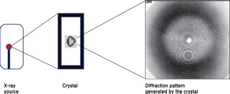 X-Ray Crystallography – Proteins, Structure and Methods