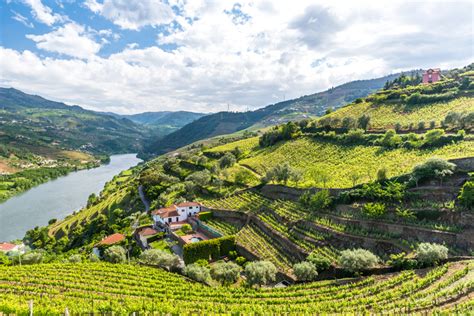 Regiões vinícolas e caves: Portugal para os fãs do vinho | Qual Viagem