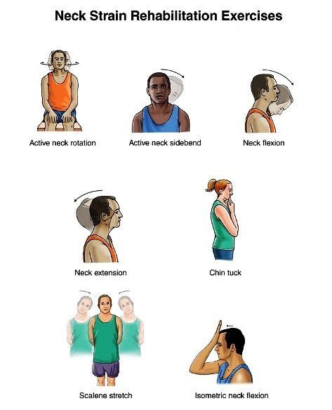 Pin by Nadia on Exercise | Rehabilitation exercises, Neck strain, Neck strain exercises