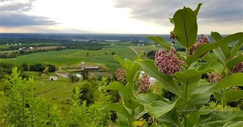 View of farmland and the Upper Mississippi River Valley at the Balltown ...