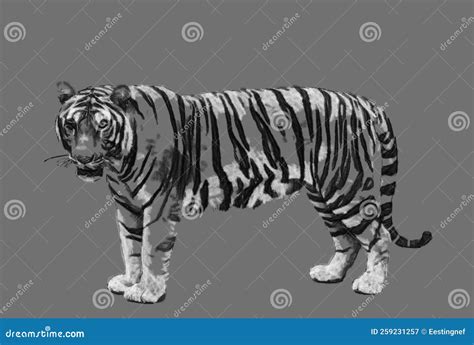 Tiger Side View. Greyscale Illustration Stock Illustration ...