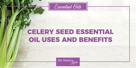 Celery Seed Essential Oil Uses and Benefits Dr. Mariza Snyder