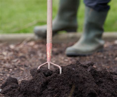 Mulching a vegetable garden: the many benefits revealed | Homes & Gardens