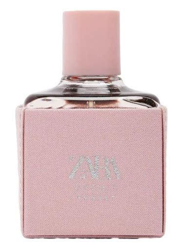 Orchid Sunset Zara perfume - a fragrance for women 2019