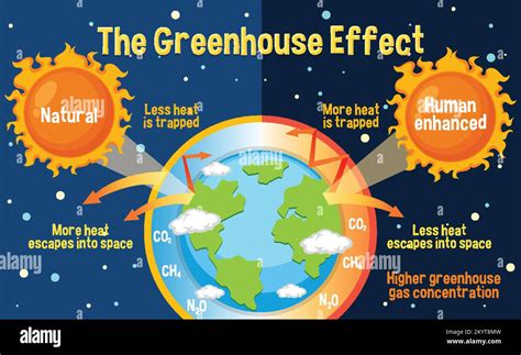 Diagram showing the greenhouse effect illustration Stock Vector Image ...