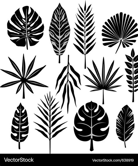 Tropical leaf Royalty Free Vector Image - VectorStock