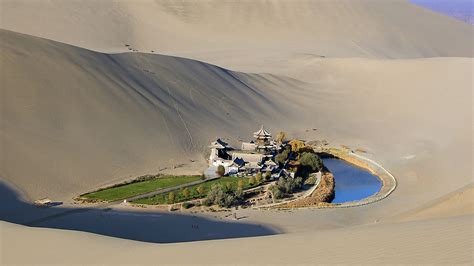 Oasis - Gobi Desert : r/pics