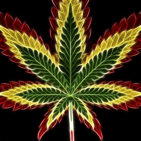 Rasta Marijuana Digital Art by Adam Romanowicz