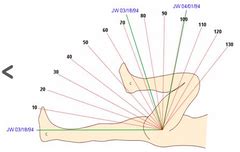 Skills Unit 10: Goniometry Principles Flashcards | Quizlet