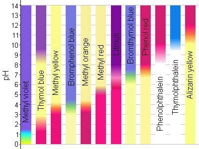 Informal Experiments: How do pH strips work? | Precision Nutrition