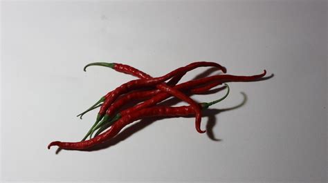 Red Chilli Photo 21105177 Stock Photo at Vecteezy