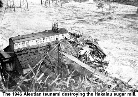 Accounts from Hawaii's 1946 Tsunami