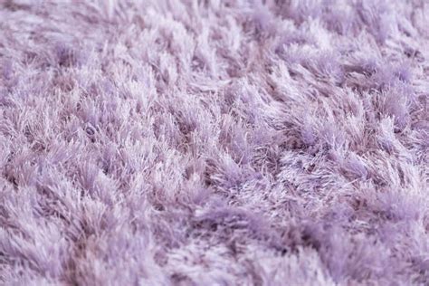 Mauve Fluffy Carpet Texture Closeup Stock Photo - Image of special, accessories: 112269788