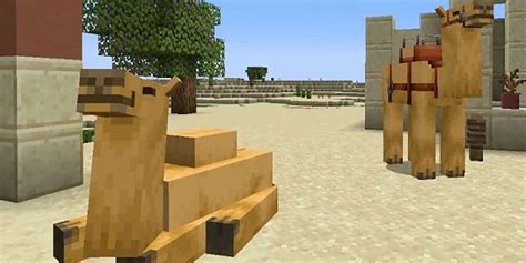 Minecraft: 7 Things You Need To Know About Camels