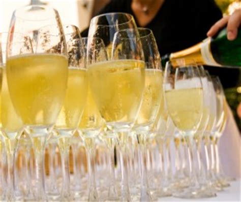 Champagne Tours | French Wine Explorers