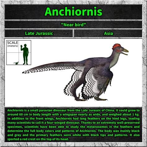 Anchiornis by UnexpectedDinoLesson on DeviantArt