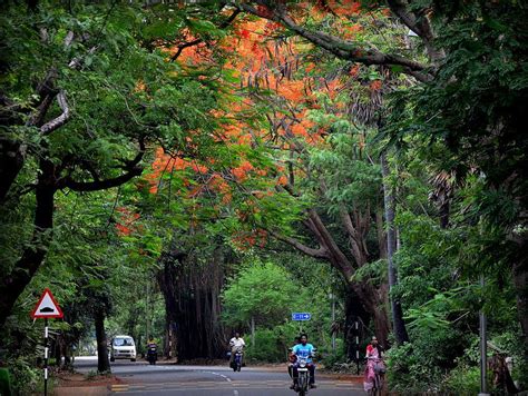 IIT Madras - A Fine Morning @ IIT Madras! #Campus...