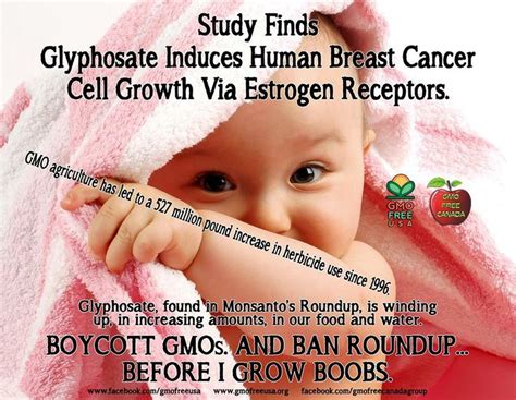 monsanto-knew-of-glyphosate-cancer-link-through-gmo-crops-35-years-ago-daily-stirrer-dailystirrer