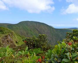 Biomes - Hawaii Volcanoes National Park