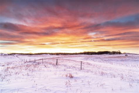 Winter Sunrise in the Sheyenne National Grasslands - Photo - Shop North Dakota