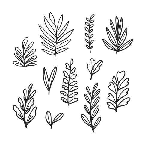 Doodle Leaves Collection Set 546866 Vector Art at Vecteezy