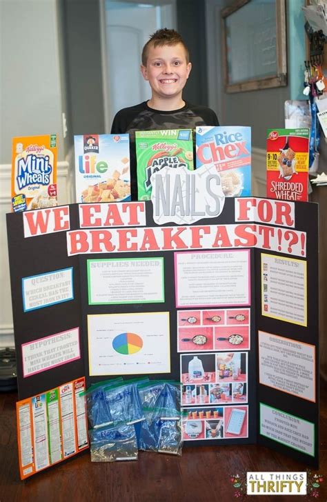 10 Lovely Science Fair Project Ideas For 10Th Grade 2024