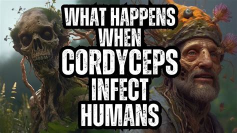 What Happens When CORDYCEPS Infect HUMANS - YouTube