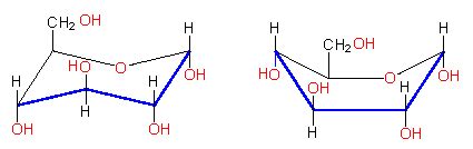 Beta L Glucose Chair