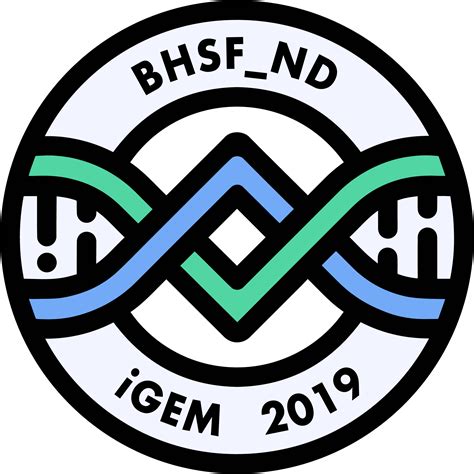 Team:SHSBNU China/Collaborations - 2019.igem.org